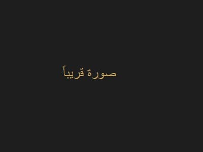 سرير رئيسي فاخر